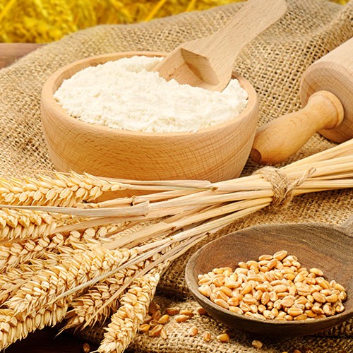 آیا آرد گندم میتواند منفجر شود؟